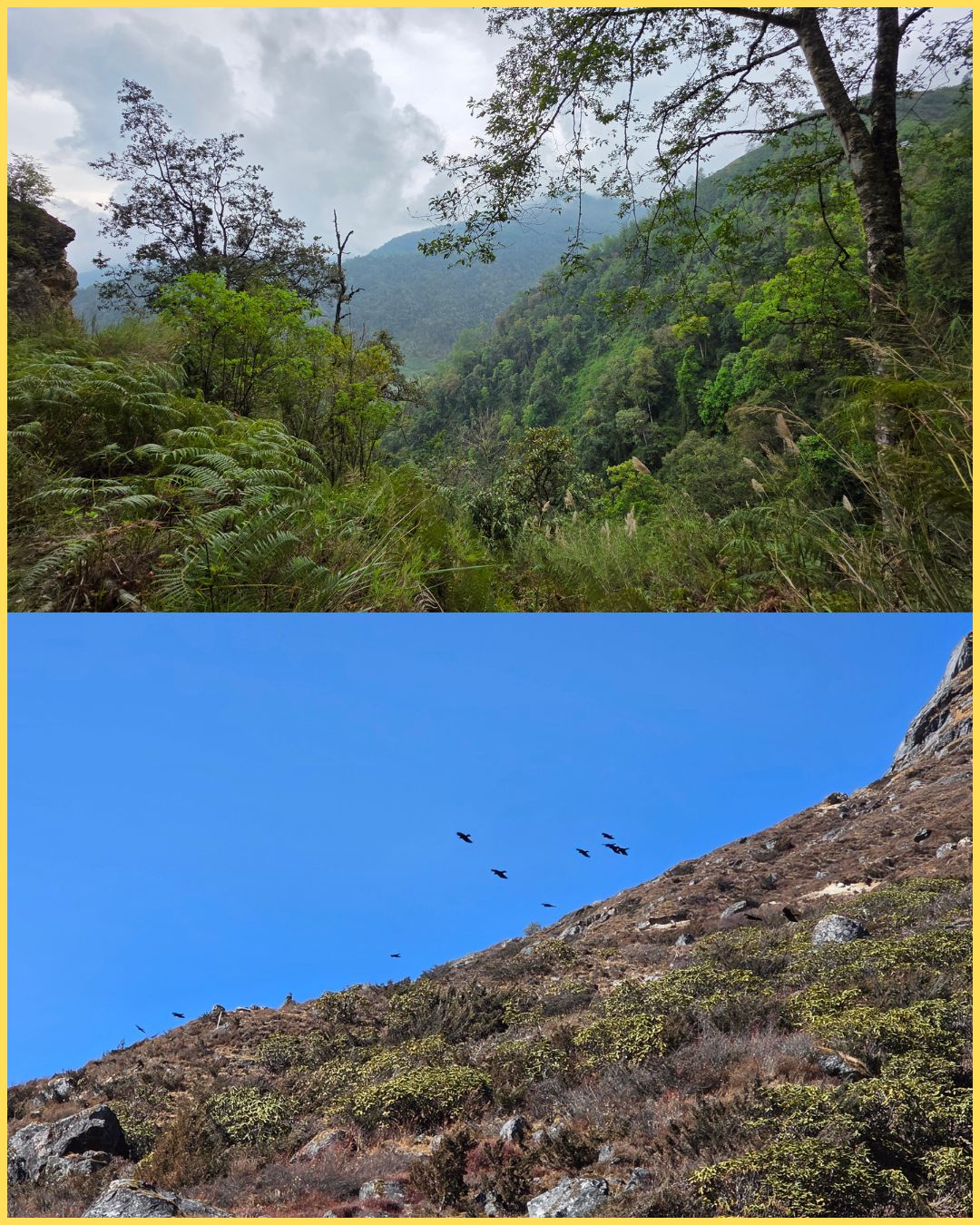 Arunachal landscapes collage