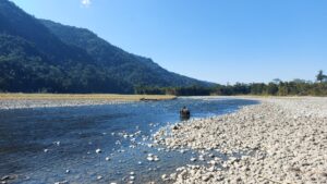 Namdapha National Park - Deban