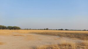 Tal Chhapar