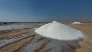 Gujarat Saltpans