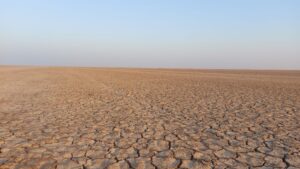 Rann of Kutch