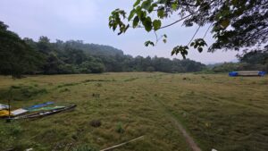 Thattekad - Periyar River floodplains