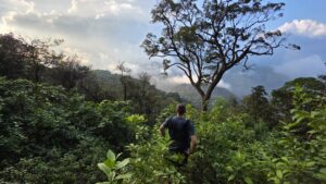 Wayanad Shola Forest
