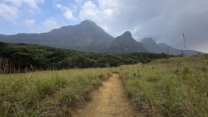 Agastyamalai Forest