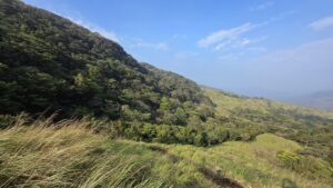 Ghats Shola Grassland Ecosystem