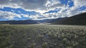 Tsokar Landscape