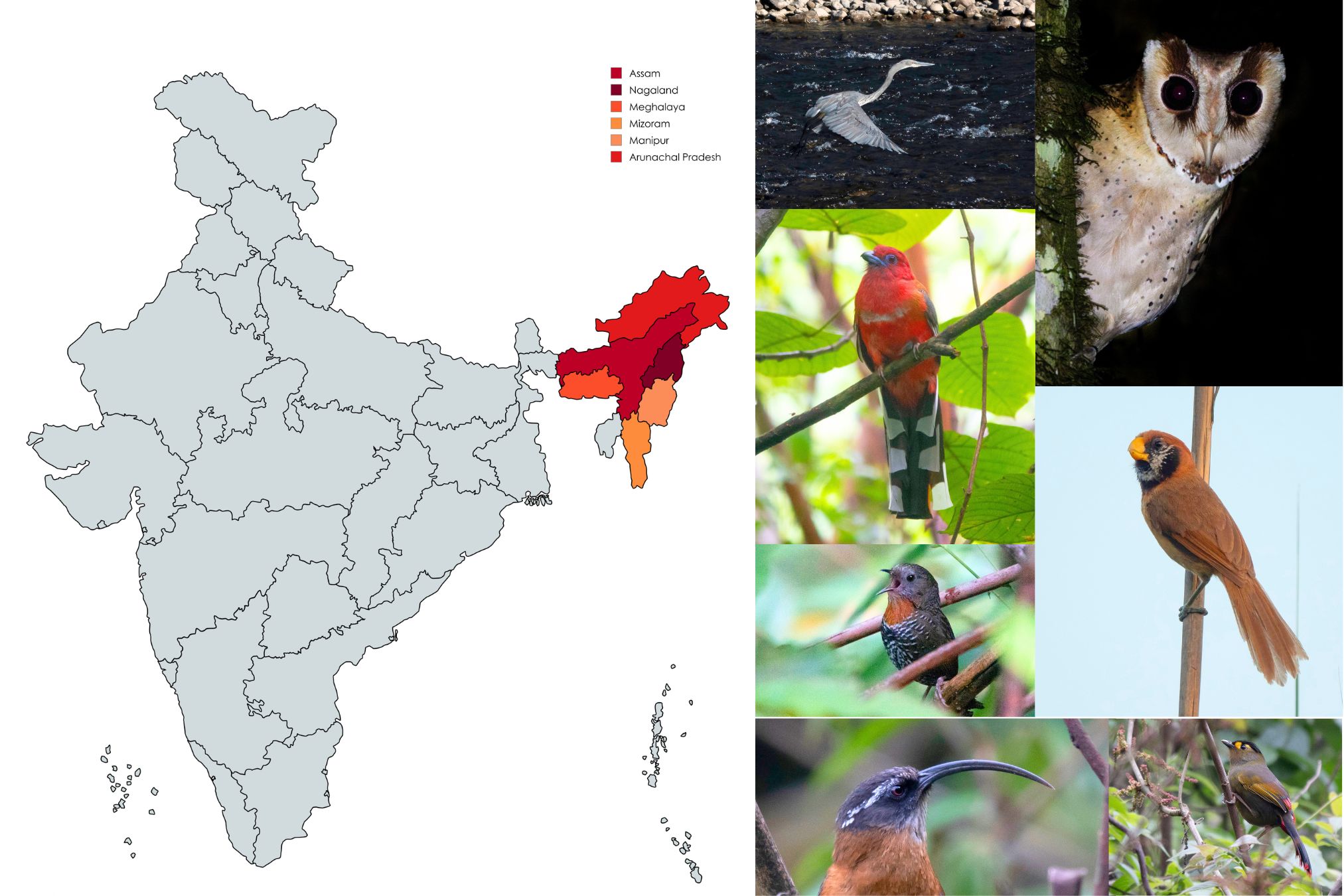 Northeast India map